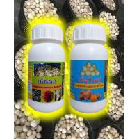 ราคา ฮอร์โมนเห็ดดกเห็ดใหญ่ สูตรเห็ดฟาง เพิ่มอาหารในแผงเห็ด ดอกดกใหญ่ ออกยาว ไม่ยุบไม่แย้ม ในชุุดมีสองขวดขวดละ 200 ML ผสมน้ำ 200 (11020740819)