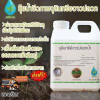 ราคา ปุ๋ยน้ำชีวภาพจุลินทรีย์จาวปลวก100 (1537026219)