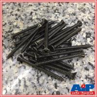 ราคา ถุง20ตัว สกรูFHดำ 8X2 สกรูเกลียวปล่อย น็อตเกลียวปล่อย น็อต น็อตดำเกลียวปล่อย2นิ้ว สกรูดำ2นิ้ว สกรูดำ สกรูดำเกลียวปล่อย เอไอ ไพศาล (8936952604)