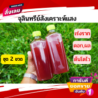 ราคา หัวเชื้อ จุลินทรีย์สังเคราะห์แสง PSB ขวด 500 ml คุณภาพสูง เห็นผลจริง สูตรเข้มข้น หัวเชื้อแท้ 100 เร่งราก ดอก ผล ดก (12877701043)