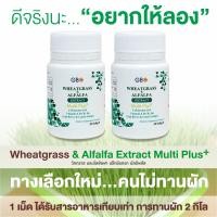 ราคา ขายราคาส่ง ผักเม็ด 1 กระปุก 30 เม็ด Wheatgrass Alfalfa Extract Multi Plus Q10 (14889451411)