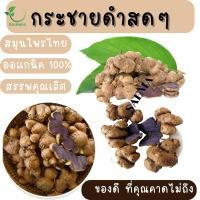 ราคา กระชายดำ ขนาด1กิโลกรัม กระชายดำ กระชายดำหัวสด กระชายดำแท้100 กระชายดำสดๆ (16421451668)