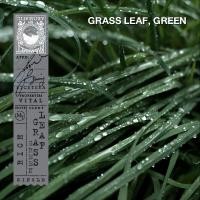 ราคา KARMAKAMET Original Room Perfume Diffuser Single คามาคาเมต ก้านไม้หอมกระจายกลิ่น น้ำหอมบ้าน ก้านไม้หอม น้ำหอมปรับอากาศ บ้านหอม (1717964760)