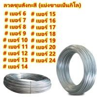 ราคา ลวดชุบสังกะสี ลวดชุบกัลวาไนซ์ เบอร์ 18 24 แบ่งขายเป็นกิโล พร้อมส่ง ลวดชุบ ลวดขด ลวดเส้นเล็ก ลวดมัดไก่ปิ้ง ลวดเบอร์18 24 ลวดขาว (9105044402)