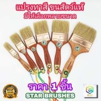 ราคา STAR BRUSHES แปรงทาสี ขนสัตว์ เกรด A จำนวน 1 ชิ้น มีให้เลือกหลายขนาด แปรงขนขาว ขนหนานุ่ม แน่น แปรงทาแลกเกอร์ แปรงขนกระต่าย แปรงทาแชล็ค (12384237531)