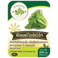 ราคา ทำมะชาดฟาร์ม มีคู่มือ 10แถม1 500 2000เมล็ด ซอง เมล็ดพันธุ์ ผักสลัด กรีนโอ๊ค คอส ฟิลเลย์ สลัดแก้ว ผักกาดหอม บัตเตอร์เฮด ผักกาดหอมอิตาลี่ (2476660295)