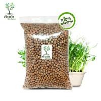 ราคา เมล็ดต้นอ่อนโต้วเหมี่ยว ต้นอ่อนถั่วลันเตา Organic100 เมล็ดพันธุ์ผัก เมล็ดสำหรับเพาะงอกพร้อมปลูก ต้นอ่อนโต้วเหมี่ยว (15809644279)