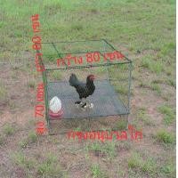 ราคา กรงอนุบาลลูกไก่ กรงไก่ กรงลูกไก่ กรงไก่แจ้ กรงเลี้ยงไก่ กรงเลี้ยงนก กรงกระต่าย กว้าง 80 เซน ยาว 80 เซน สูง 70 เซน แข็งแรงใช้งานได้ดี (19363579419)