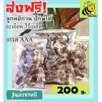 ราคา ส่งฟรี ลูกหยีไร้เมล็ด พร้อมทาน ลูกหยีกวน รสชาติอร่อย 200 กรัม หอม เปรี้ยว หวาน ลงตัว โดยธรรมชาติ ลูกหยีกวนไรเมล็ด ลูกหยีกวนละเอียดไรเมล็ด ลูกหยีไม่มีเม็ด ลูกหยีสด (12379372165)