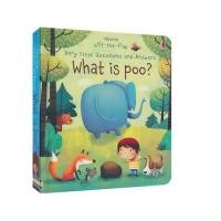ราคา usborne lift the flap poo หนังสืออ่านภาษาอังกฤษ หนังสือสำหรับเด็ก หนังสือภาษาอังกฤษสำหรับเด็ก usborne lift the flap (11875612626)