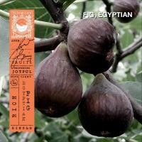 ราคา KARMAKAMET Original Room Perfume Diffuser Single คามาคาเมต ก้านไม้หอมกระจายกลิ่น น้ำหอมบ้าน ก้านไม้หอม น้ำหอมปรับอากาศ บ้านหอม (1717964754)