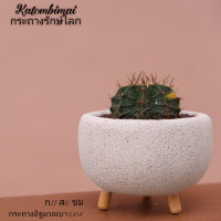 ราคา กระถางอิฐมวลเบาD04 กระถางมินิมอล (16582222928)