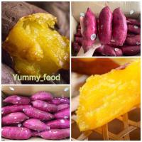 ราคา พร้อมส่ง 1KG มันหวานญี่ปุ่นสด เบนิฮารุกะ sweet potato (19769668698)