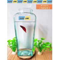 ราคา โหลเหลี่ยมปลากัดทรงมาตรฐาน ในตำนาน โหลปลากัด โหลเหลี่ยมทรงตัว N พร้อมส่ง ความหนาแก้ว 3 4 มิลมาตรฐานแก้วเป่า โหลฟอร์มปลากัด โหลปลากัด โหลเหลี่ยมปลากัดยอดนิยม (12098353669)
