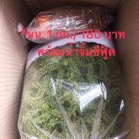 ราคา สาหร่ายสดคุณภาพราคาถูก สาหร่ายพวงองุ่น องุ่นทะเล (11970753437)