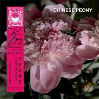 ราคา KARMAKAMET Original Room Perfume Diffuser Single คามาคาเมต ก้านไม้หอมกระจายกลิ่น น้ำหอมบ้าน ก้านไม้หอม น้ำหอมปรับอากาศ บ้านหอม (16475601911)