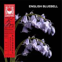 ราคา KARMAKAMET Original Room Perfume Diffuser Single คามาคาเมต ก้านไม้หอมกระจายกลิ่น น้ำหอมบ้าน ก้านไม้หอม น้ำหอมปรับอากาศ บ้านหอม (17218206678)