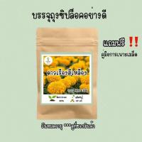 ราคา เมล็ดพันธุ์ดาวเรืองสีเหลือง 300 เมล็ด เมล็ดพันธุ์แท้ อัตราการงอกสูง (14935874746)