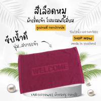 ราคา พรมเช็ดเท้า welcome ผ้าเช็ดเท้าโรงแรม พรมเช็ดเท้า 17x28นิ้ว (8611951037)
