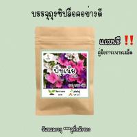 ราคา เมล็ดพันธุ์ ดอกพิทูเนีย คละสี 1000เมล็ด (14347133056)