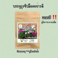 ราคา เมล็ดดอกผีเสื้อ Dianthus คละสี ดอกไม้กินได้ เมล็ดพันธุ์OPแท้ (14996787640)