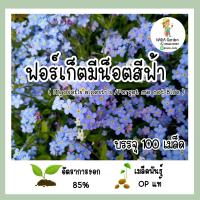 ราคา เมล็ดพันธุ์ ฟอร์เก็ตมีน็อตสีฟ้า Forget me not Blue บรรจุ 100เมล็ด สายพันธุ์แท้นำเข้าจากต่างประเทศ (19104938738)