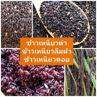 ราคา ข้าวเหนียวดำ ข้าวเหนียวลืมผัว ข้าวเหนียวดอย 1 กิโลกรัม (16953764585)