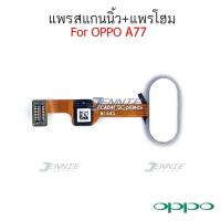 ราคา OPPO A77 R9s pro R9S Plus อะไหล่สายแพรปุ่มโฮม OPPO A77 R9s pro R9S Plusคุณภาพดี อะไหล่มือถือ (6061592770)