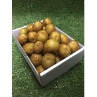 ราคา มันฝรั่งสด มันซุปลูกเล็ก มันซุปจิ๋ว potato ใช้ใส่ต้มซุป ประดับจานอาหาร ทานเล่นเป็นเครื่องเคียง (13375207506)