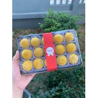 ราคา ขนมเปี๊ยะไส้ถั่วไข่เค็ม อบควันเทียน ขนมเปี๊ยะโบราณ ขนมเปี๊ยะอบควันเทียน กล่องละ 15 ลูก (17411723892)