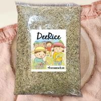 ราคา 1กก ข้าวเปลือกหอมมะลิใหม่ คัดพิเศษ ปี 65 ตราดีไรซ์ ข้าวขาวดอกมะลิ105 DeeRice (18879653002)