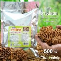 ราคา จุลินทรีย์จาวปลวก 500 กรัม ชนิดผง มั่นใจ100 สินค้าล๊อตใหม่ล่าสุด เมื่อซื้อกับนักวิจัยและผู้ผลิตโดยตรง จาวปลวก ชนิดผง (9847334050)