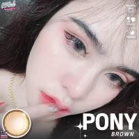 ราคา Pony brown รุ่นน้ำตาลตาหวานฉ่ำ ลายฮิต ตาโตสวยหวาน (19983857736)