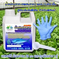 ราคา น้ำหมักปลา น้ำหมักปลาทะเล น้ำหมักปลาทะเลเข้มข้น ผสมสาหร่ายและอะมิโน อาหารพืช ขนาด 1 ลิตร (16318996792)
