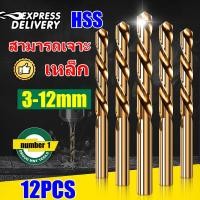 ราคา สามารถเจาะเหล็ก ดอกสว่านเหล็ก ชุดดอกสว่าน 12 ชิ้น ขนาด 3 12 mm ดอกสว่าน ไฮสปีด HSS ดอกสว่าน ดอกสว่านไฮสปีด ดอกสว่านคาไบร์ ดอกสว่านเจาะเหล็ก เจาะเหล็ก ดอกสว่านเจาะสแตนเลส ดอกสว่านโคบอลต์ เจาะสแตนเลส ดอ