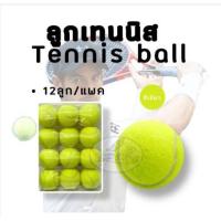 ราคา Tennis Ball ลูกเทนนิส ซ้อมหรือทำกิจกรรมต่างๆ 12ลูก (400218485)