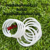 ราคา สายเอ็นทำครืนเบอร์200 สายเอ็นเบอร์200 จำนวน10ม้วน สีขาว ขนาด2mm สายเอ็นทำครืนโบราณ สายเอ็นทำขอบรังเก็บครืนนกเขาใหญ่ (15650021303)