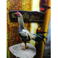 ราคา ไข่ไก่ชนพม่าม้าล่อรำวงเมืองเหนือ (20051522805)