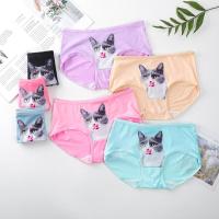 ราคา Underwear Shop กางเกงในลายแมวน่ารักสุ่มลาย 1 แพ็ค 1ลาย 10 ตัว เนื้อผ้านุ่มใส่สบาย ไม่ตกเทรนด์ พร้อมส่งจากไทย (5580360667)
