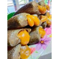 ราคา ปลาสลิดไข่แดดเดียว 6 7ตัว โล ปลาสลิดบ้านแพ้ว (19798834539)