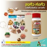 ราคา ลงหัว ห่อหัว เอเจนต้า เร่งหัวใหญ่ หัวแน่น น้ำหนักดี สีสวย สำหรับมันสำปะหลังและพืชลงหัว 1 ขวด (4971778697)
