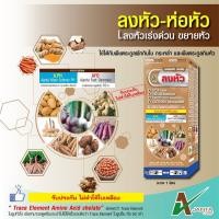 ราคา ลงหัว ห่อหัว เอเจนต้า เร่งหัวใหญ่ หัวแน่น น้ำหนักดี สีสวย สำหรับมันสำปะหลังและพืชลงหัว 1 ขวด (4971778699)