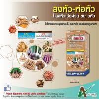 ราคา ลงหัว ห่อหัว เอเจนต้า เร่งหัวใหญ่ หัวแน่น น้ำหนักดี สีสวย สำหรับมันสำปะหลังและพืชลงหัว 1 ขวด (4971778698)