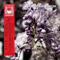 ราคา KARMAKAMET Original Room Perfume Diffuser Single คามาคาเมต ก้านไม้หอมกระจายกลิ่น น้ำหอมบ้าน ก้านไม้หอม น้ำหอมปรับอากาศ บ้านหอม (1717964740)