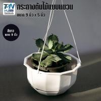ราคา กระถางต้นไม้พลาสติกแบบแขวน พร้อมจานรอง มี 3 สี ขนาด 9 นิ้ว ราคาโรงงาน กระถางต้นไม้ กระถางพลาสติก กระถางแบบแขวน TMN Hubs (3988888194)