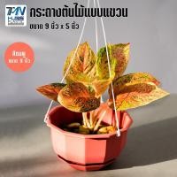 ราคา กระถางต้นไม้พลาสติกแบบแขวน พร้อมจานรอง มี 3 สี ขนาด 9 นิ้ว ราคาโรงงาน กระถางต้นไม้ กระถางพลาสติก กระถางแบบแขวน TMN Hubs (3988888196)