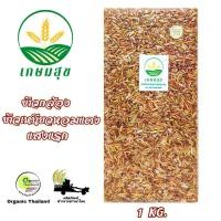 ราคา ข้าวกล้องข้าวเหนียวหอมแดงแสงแรก Red Aroma Rice Germinated ตรา เกษมสุข organic ปลอดสาร ขนาด 1 กก (17433329239)