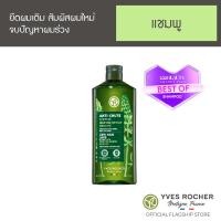 ราคา Yves Rocher Anti Hair Loss With White Lupin Fortifying Shampoo 300 ml (20126416687)
