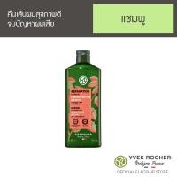 ราคา Yves Rocher Repair With Organic Jojoba Restoring Shampoo 300 ml (20126923100)