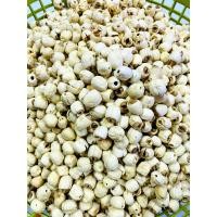 ราคา เม็ดบัวเม็ดใหญ่ ขนาด 100 กรัม เม็ดบัวอบแห้ง เนื้อร่วน (7769139102)